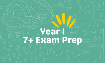 7+ Exam Prep Maths/English/VR/NVR (July)